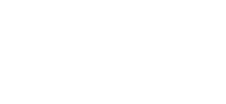 Cyber_Level_Ins-white-logo